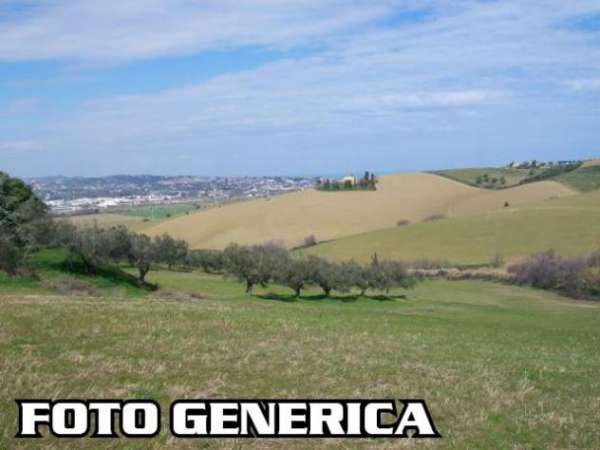 Foto Terreno agricolo in vendita a San Prospero Navacchio - Cascina 4000 mq  Rif: 533890