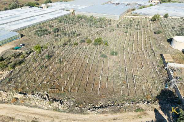 Foto Terreno agricolo in vendita a Santa Croce Camerina
