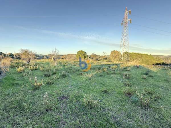 Foto Terreno agricolo in vendita a Santa Marinella