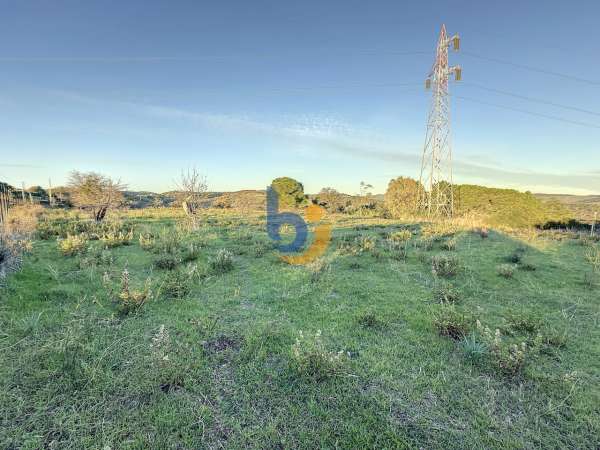 Foto Terreno agricolo in vendita a Santa Marinella