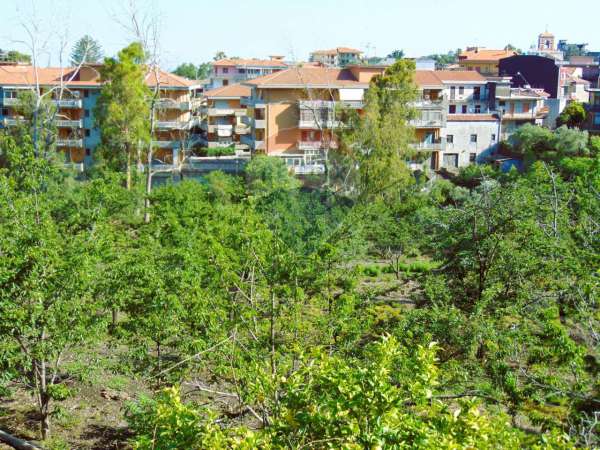 Foto Terreno agricolo in vendita a Santa Venerina