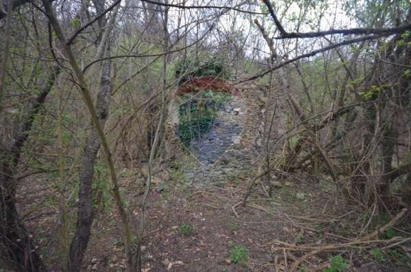 Foto Terreno agricolo in vendita a Savona