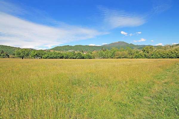 Foto Terreno agricolo in vendita a Scanzorosciate
