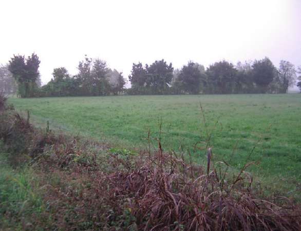 Foto Terreno agricolo in vendita a Schiavon