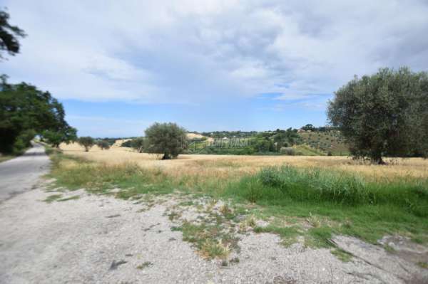 Foto Terreno agricolo in vendita a Senigallia