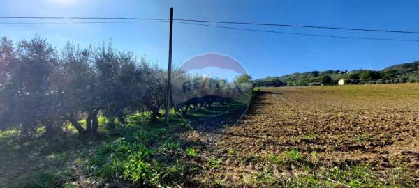 Foto Terreno agricolo in vendita a Serra San Quirico