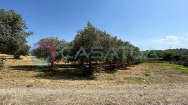 Foto Terreno agricolo in vendita a Silvi