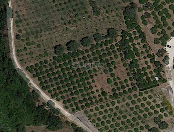 Foto Terreno agricolo in vendita a Siracusa