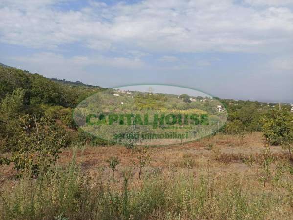 Foto Terreno agricolo in vendita a Somma Vesuviana