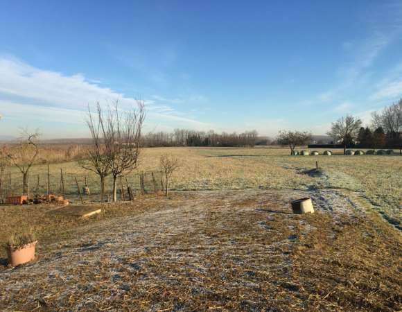 Foto Terreno agricolo in vendita a Suzzara