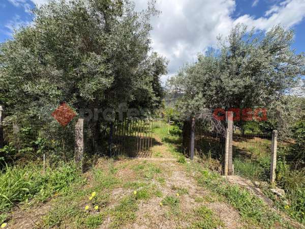 Foto Terreno agricolo in vendita a Terracina