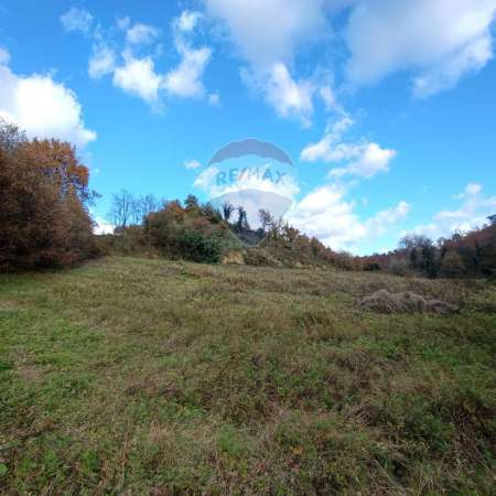 Foto Terreno agricolo in vendita a Terranuova Bracciolini