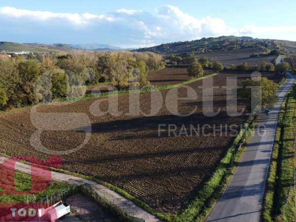 Foto Terreno agricolo in vendita a Todi