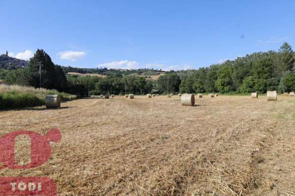 Foto Terreno agricolo in vendita a Todi