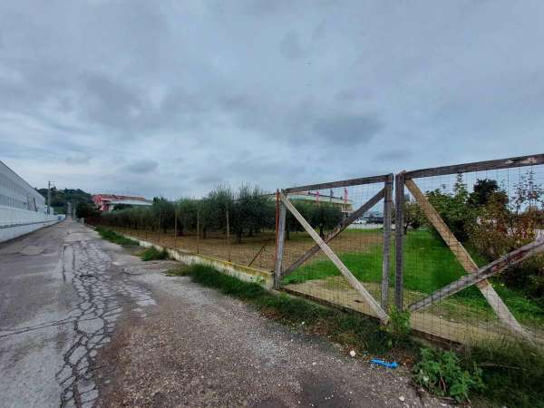 Foto Terreno agricolo in vendita a Tortoreto