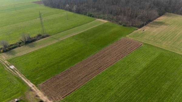 Foto Terreno agricolo in vendita a Tradate