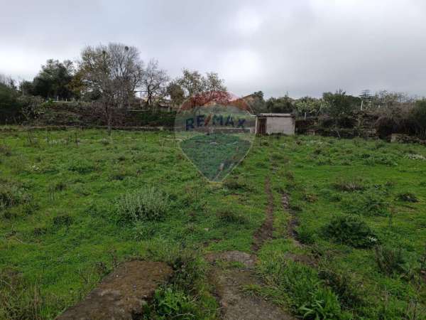 Foto Terreno agricolo in vendita a Tremestieri Etneo