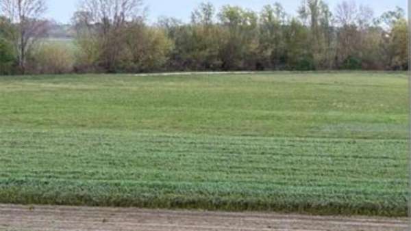 Foto Terreno agricolo in vendita a Turano - Massa 1850 mq  Rif: 1288661