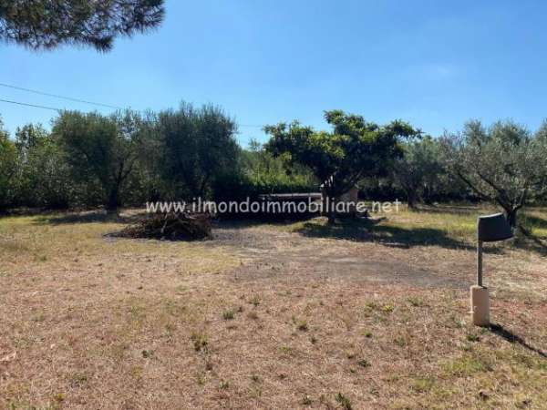 Foto Terreno agricolo in vendita a Vada - Rosignano Marittimo 6800 mq  Rif: 1177954