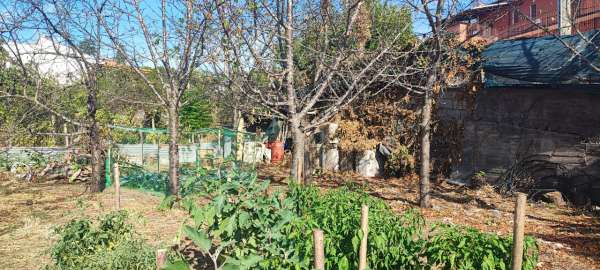 Foto Terreno agricolo in vendita a Valverde