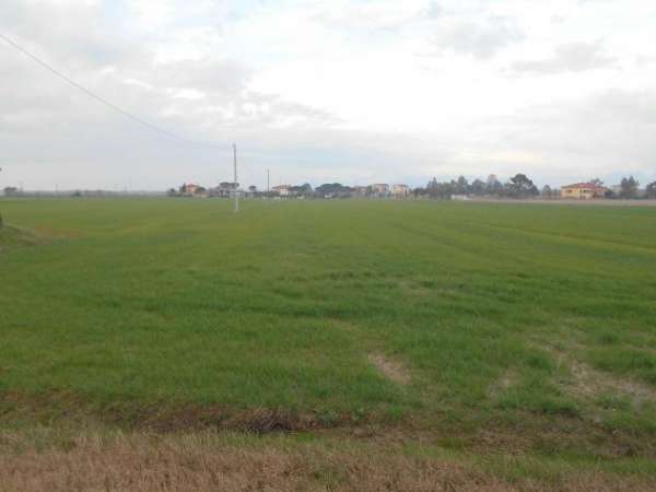 Foto Terreno agricolo in vendita a Vicarello - Collesalvetti 25000 mq  Rif: 1047352