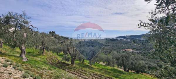 Foto Terreno agricolo in vendita a Vieste