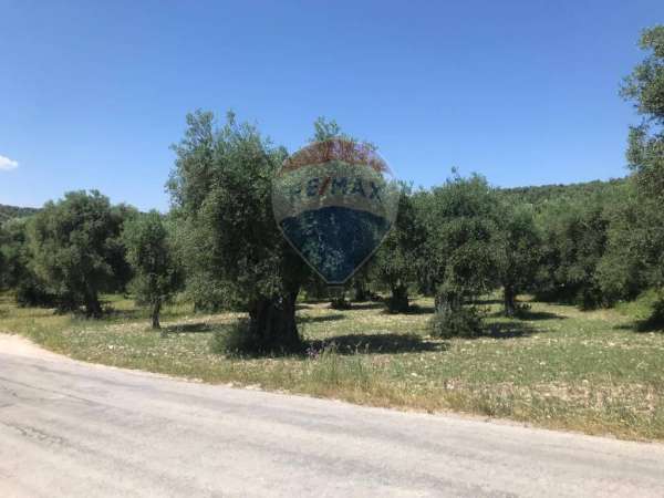 Foto Terreno agricolo in vendita a Vieste