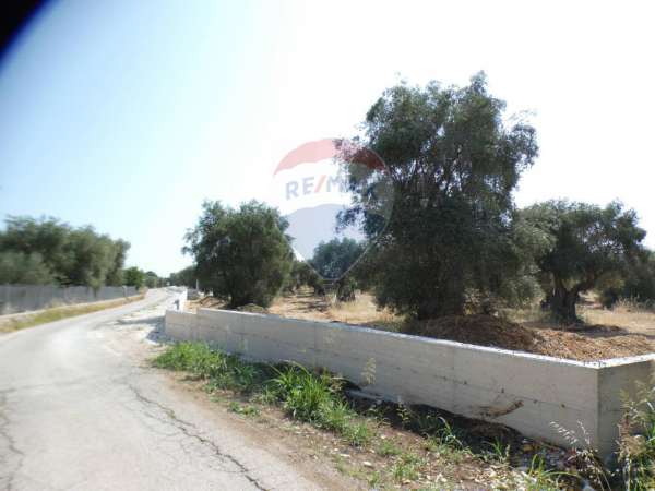 Foto Terreno agricolo in vendita a Vieste