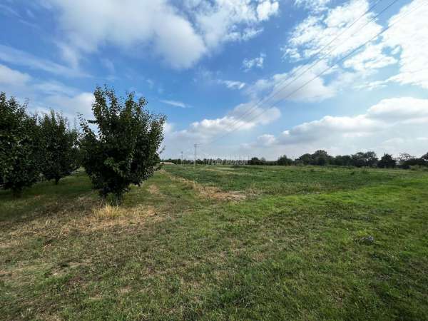 Foto Terreno agricolo in vendita a Vignola