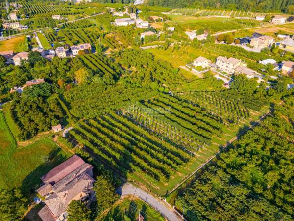 Foto Terreno agricolo in vendita a Vignola