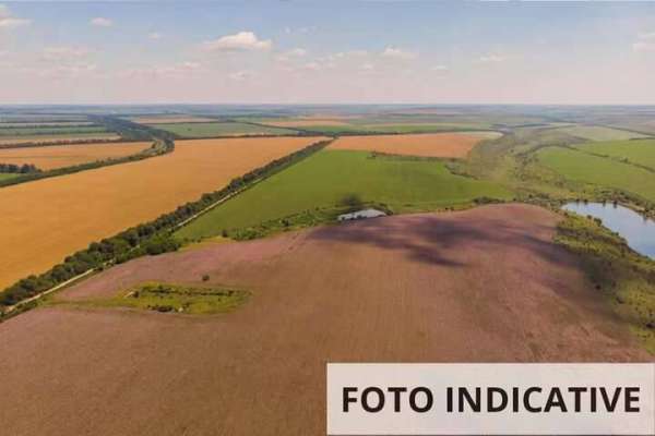 Foto Terreno agricolo in Vendita a Villafranca di Verona