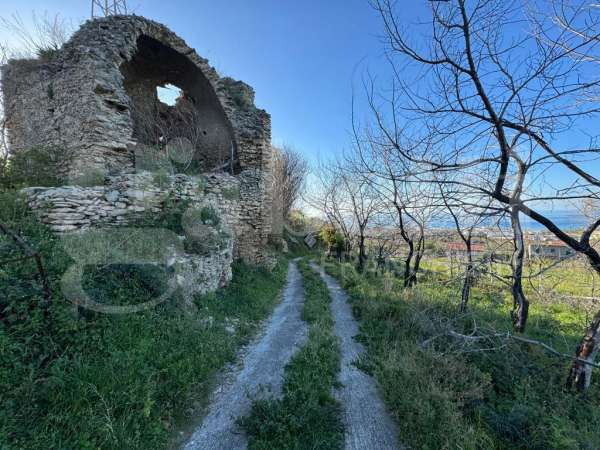 Foto Terreno agricolo in vendita a Villafranca Tirrena