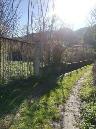 Foto Terreno agricolo in vendita a Villafranca Tirrena