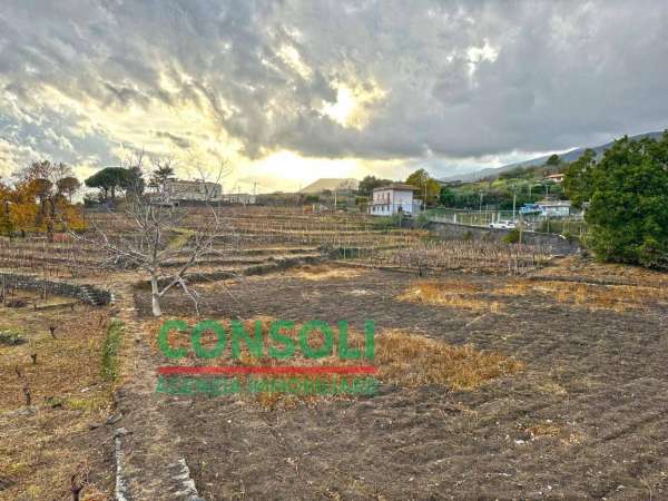 Foto Terreno agricolo in vendita a Zafferana Etnea