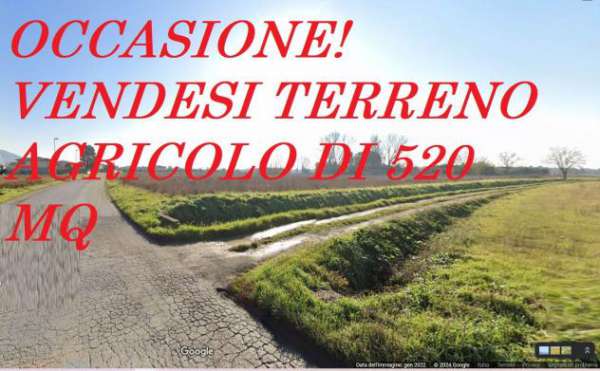 Foto Terreno agricolo in Vendita in zona SAN LORENZO ALLE CORTI con giardino
