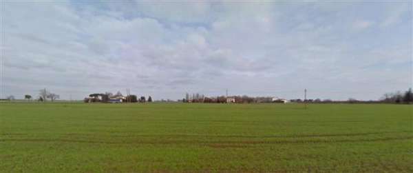 Foto Terreno agricolo in Vendita in zona SAN PIETRO IN GUARDIANO
