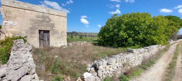 Foto TERRENO CON CASOLARE