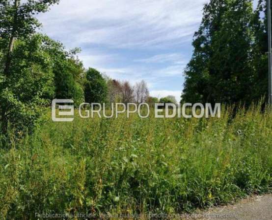 Foto Terreno di 13172 mq  in vendita a Treviso - Rif. 4502924