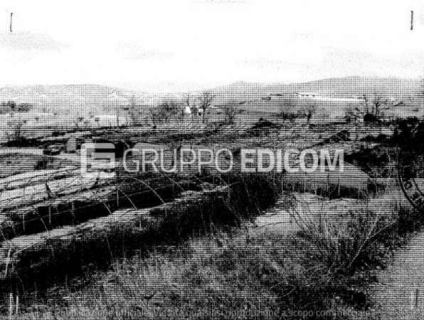 Foto Terreno di 14130 mq  in vendita a Bisignano - Rif. 4505999