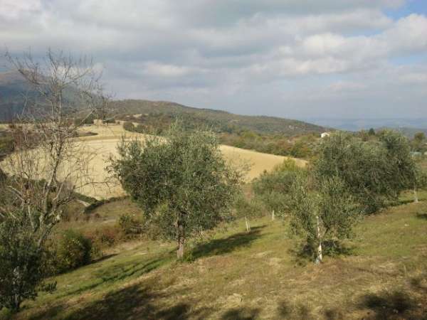 Foto terreno di 2700mq. panoramico