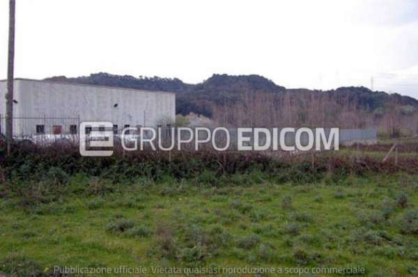 Foto Terreno di 3045 mq  in vendita a Feroleto Antico - Rif. 4511045
