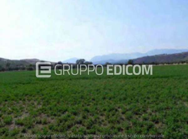 Foto Terreno di 37060 mq  in vendita a Roggiano Gravina - Rif. 4498170