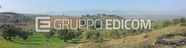 Foto Terreno di 3922 mq  in vendita a Roggiano Gravina - Rif. 4502032