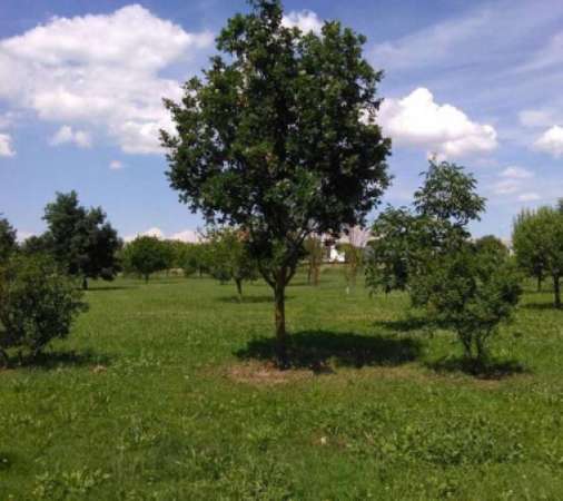 Foto Terreno di 700 m in vendita a Carpi