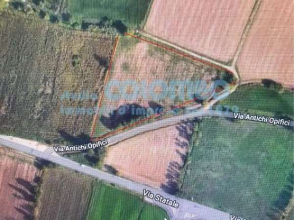 Foto Terreno di 8000 m in vendita a Lonato del Garda