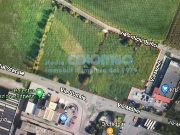 Foto Terreno di 8000 m in vendita a Lonato del Garda