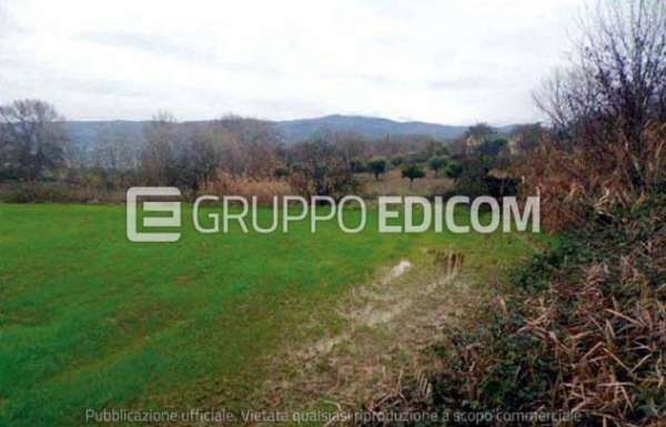 Foto Terreno di 9000 mq  in vendita a Montalto Uffugo - Rif. 4509242