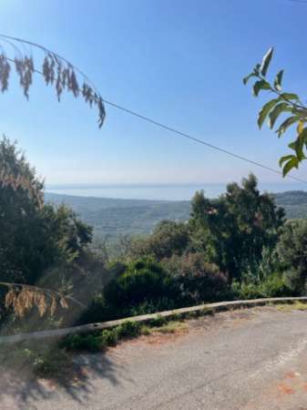 Foto terreno di mq 4310