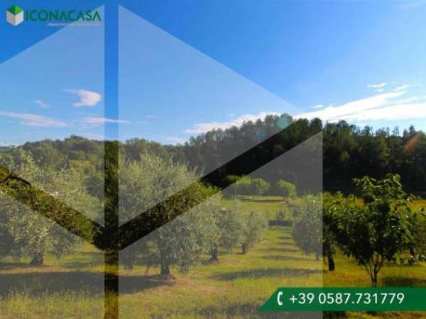 Foto Terreno edif. residenziale in vendita a Chiecinella - Palaia 4000 mq  Rif: 1333687