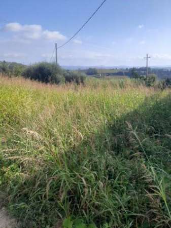 Foto Terreno edif. residenziale in vendita a Chientina - Terricciola 1000 mq  Rif: 1206545